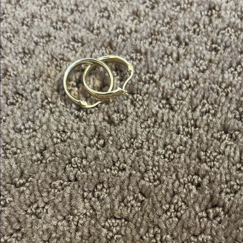 Elegant Gold Hoop Earrings cbk